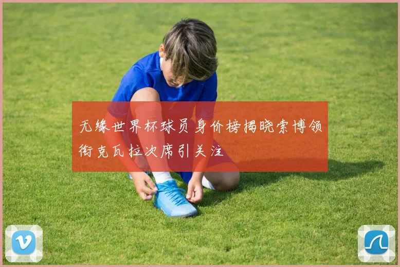 无缘世界杯球员身价榜揭晓索博领衔克瓦拉次席引关注