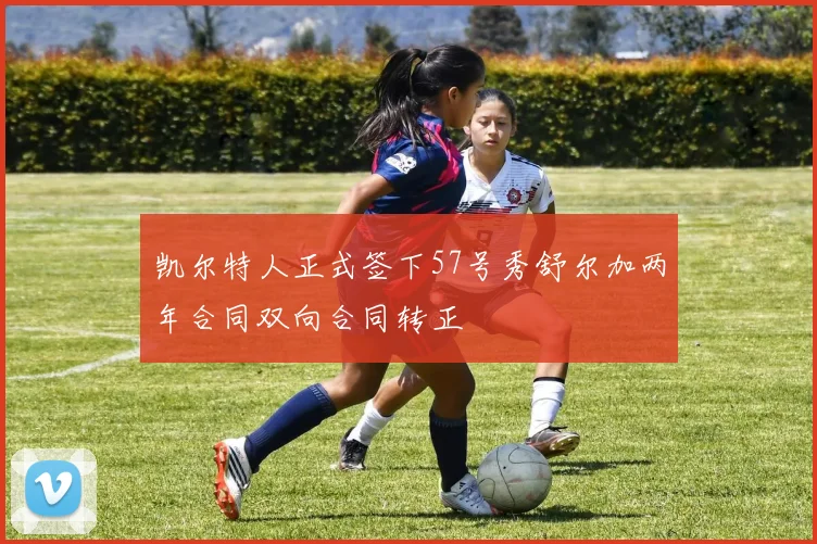 凯尔特人正式签下57号秀舒尔加两年合同双向合同转正